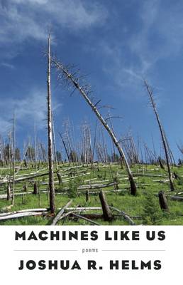 Machines Like Us (Paperback)