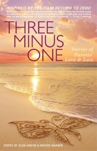 Three Minus One: Stories of Parents' Love and Loss (Paperback)