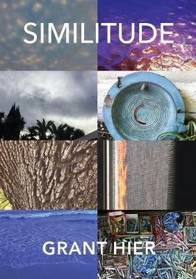 Similitude (Paperback)