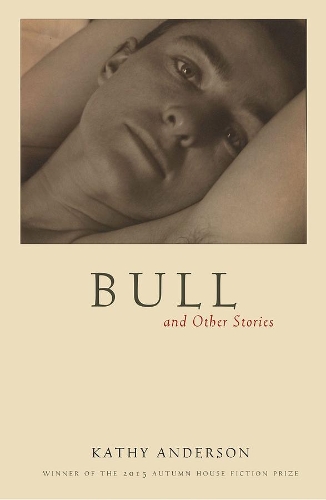Bull: And Other Stories (Paperback)