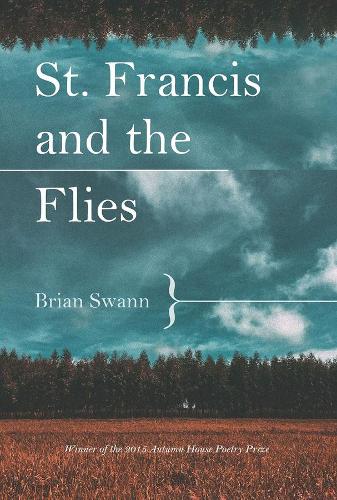 St. Francis and the Flies (Paperback)