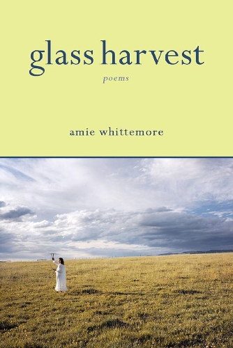 Glass Harvest (Paperback)