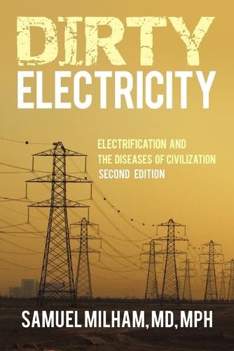 Dirty Electricity: Electrification and the Diseases of Civilization (Paperback)
