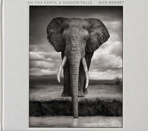 Nick Brandt: On This Earth, A Shadow Falls (Hardback)