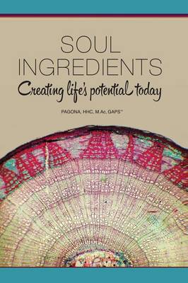 Soul Ingredients: Creating Life's Potential Today (Paperback)