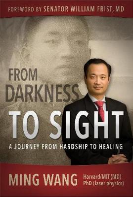 From Darkness to Sight: A Journey from Hardship to Healing (Paperback)
