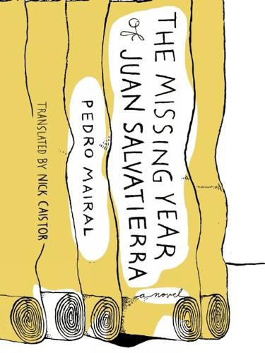 The Missing Year Of Juan Salvatierra (Paperback)
