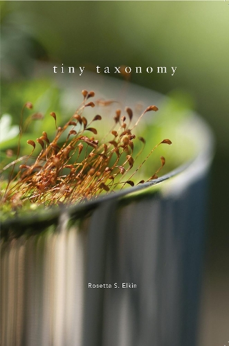 Tiny Taxonomy: Individual Plants in Landscape Architecture (Hardback)