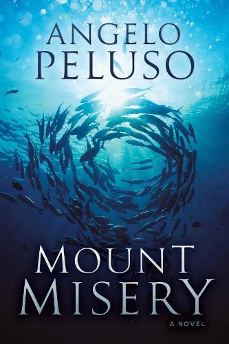 Mount Misery: A Novel (Paperback)