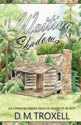 Waiting Shadows (Paperback)