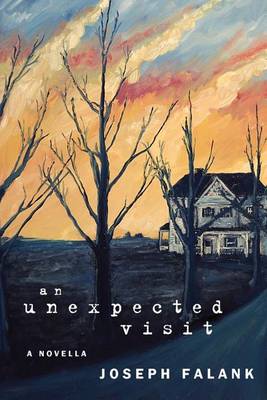 An Unexpected Visit (Paperback)