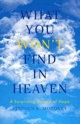 What You Won't Find in Heaven: A Surprising Source of Hope (Paperback)