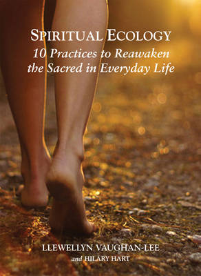 Spiritual Ecology (Paperback)
