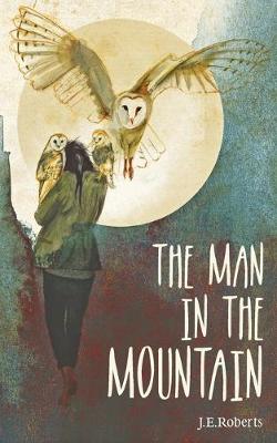 The Man in the Mountain (Paperback)