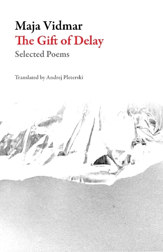 The Gift Of Delay: Selected Poems (Paperback)