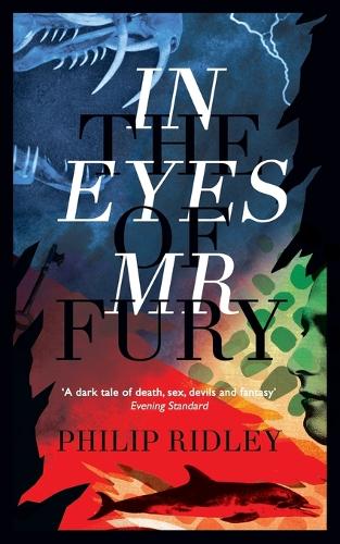 In the Eyes of Mr Fury (Paperback)