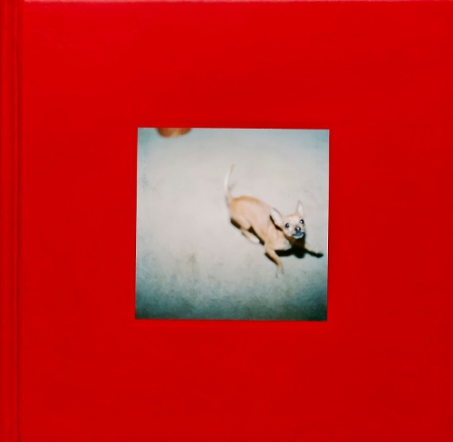 Shiny Ghost (Hardback)