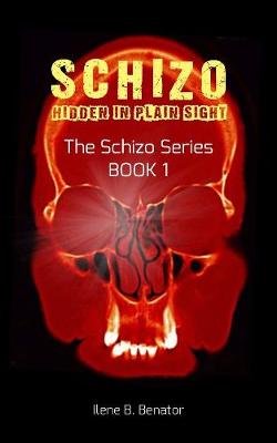 Schizo: Hidden in Plain Sight (Paperback)