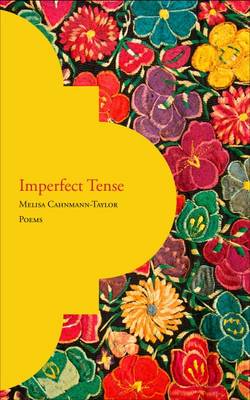 Imperfect Tense (Paperback)
