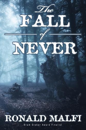 The Fall of Never (Paperback)