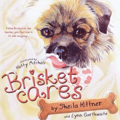 Brisket Cares: Love Is Its Own Language (Paperback)