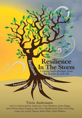 Resilience in the Storm: Coming Back Stronger from the Storms in Your Life (Hardback)