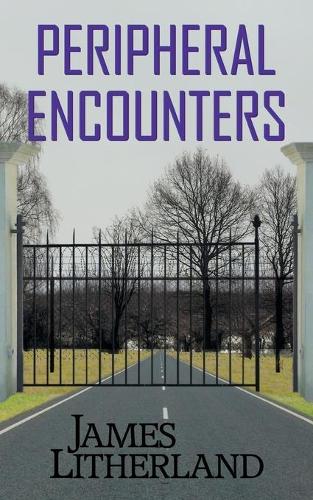 Peripheral Encounters (Slowpocalypse, Book 4) - Slowpocalypse 4 (Paperback)