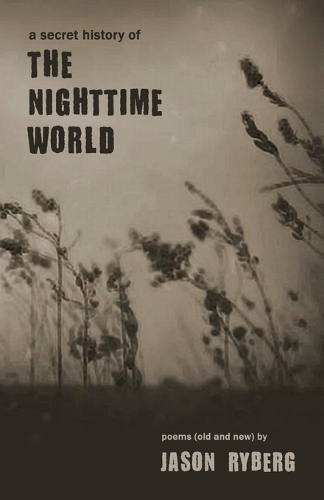 A Secret History of the Nighttime World (Paperback)