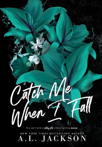 Catch Me When I Fall (Hardcover) (Hardback)