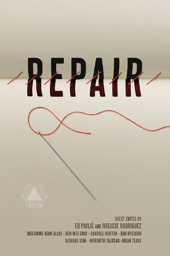 Repair - Boston Review / Forum (Paperback)