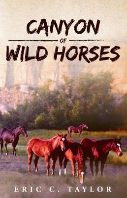 Canyon of Wild Horses (Paperback)