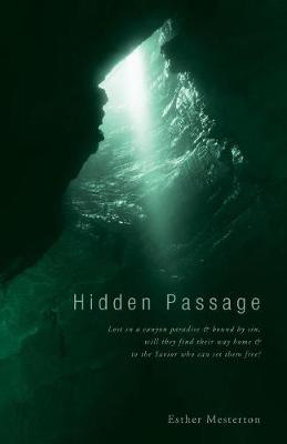 Hidden Passage (Paperback)
