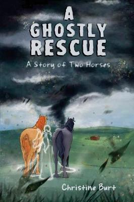 A Ghostly Rescue: A Story of Two Horses (Paperback)