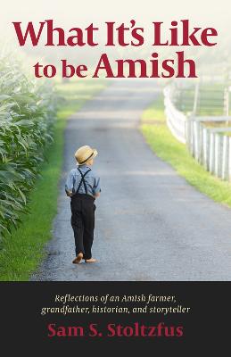 What It's Like to Be Amish (Paperback)