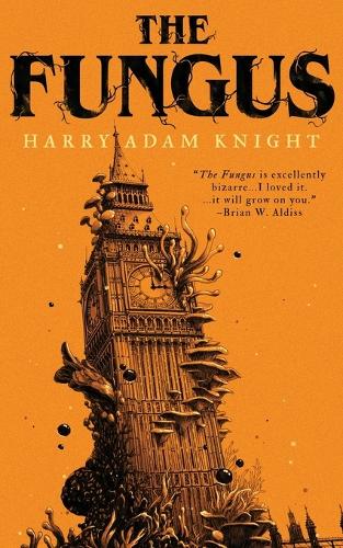The Fungus (Paperback)