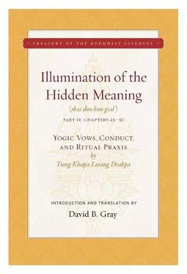 Illumination of the Hidden Meaning Volume 2: Yogic Vows, Conduct, and Ritual Praxis (Hardback)