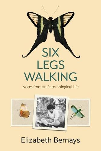 Six Legs Walking: Notes from an Entomological Life (Paperback)