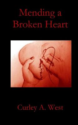 Mending a Broken Heart (Paperback)