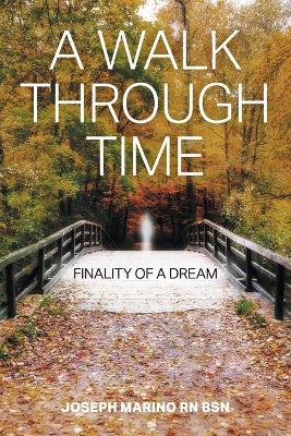 A Walk Through Time: Finality of a Dream (Paperback)