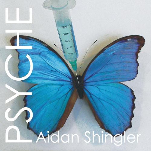 Psyche: The Visionary Potential of Unusual States of Consciousness (Paperback)