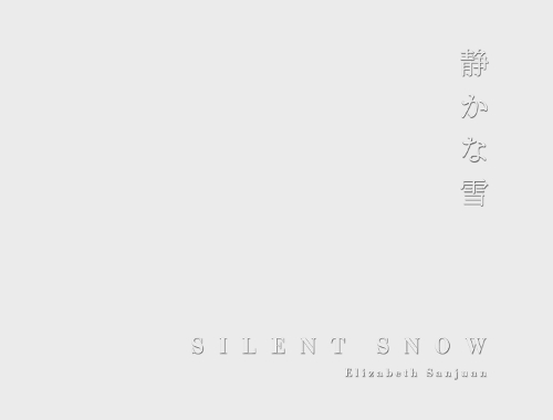 Elizabeth Sanjuan Silent Snow
