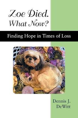 Zoe Died. What Now?: Finding Hope in Times of Loss (Paperback)