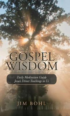 Gospel Wisdom: Daily Meditation Guide Jesus's Direct Teachings to Us (Hardback)