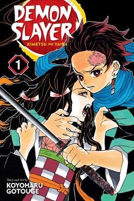 Demon Slayer: Kimetsu no Yaiba, Vol. 1 - Demon Slayer: Kimetsu no Yaiba 1 (Paperback)