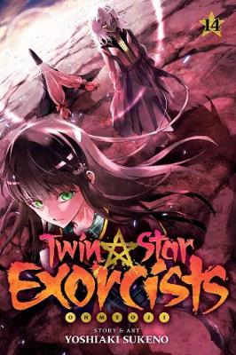 Twin Star Exorcists, Vol. 14: Onmyoji - Twin Star Exorcists 14 (Paperback)