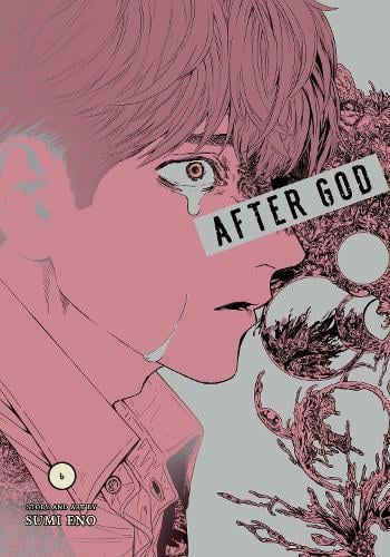 Sumi Eno After God, Vol. 6 Volume 6
