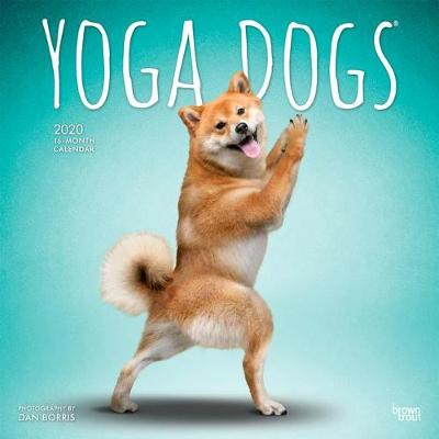 Yoga Dogs 2020 Square Wall Calendar (Calendar)