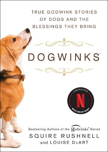 Dogwinks: True Godwink Stories of Dogs and the Blessings They Bring - The Godwink Series 6 (Paperback)