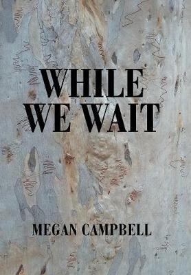 While We Wait (Hardback)