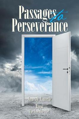 Passages to Perseverance (Paperback)